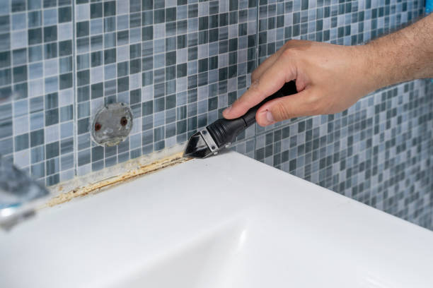 Best Black Mold Remediation in Sauk Rapids, MN