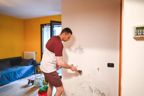Best Basement Mold Remediation in Sauk Rapids, MN
